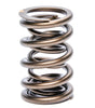 1.270 OD Valve Spring Set - Pacaloy