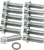 Intake Bolt Kit SBC 12PT 12pk