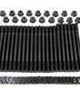 ARP247-4202