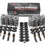 Platinum LS Dual Springs .660in Lift