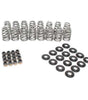 Beehive Valve Spring Kit .625