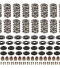 LS Dual Valve Spring Kit Up to .660in Lift