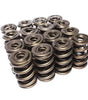 Valve Springs - Triple 1.686in