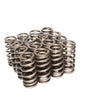 SBF 4.6L Valve Springs