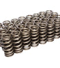 Beehive Valve Spring - 1.105in Single