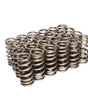 Beehive Valve Springs - Ford 4.6L 3-Valve