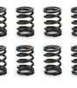 Valve Spring Set