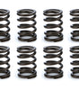 Valve Spring Set