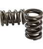 1.486in Outer Valve Spring