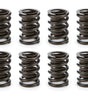 Valve Spring Set
