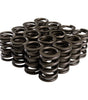 Valve Spring Set