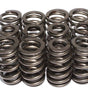 Valve Spring Set - GM V6