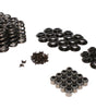 Valve Spring Kit - GM LS Beehive