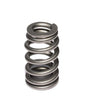 1.310 Beehive Valve Spring - LS1