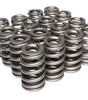 LS1 1.310 Beehive Valve Springs