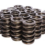 1.300 Dual Valve Spring Kit - GM LS1