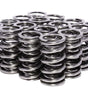 1.320 Dual Valve Springs GM LS Engines