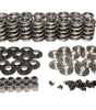 Dual Valve Spring Kit - GM LS w/Ti Retainers