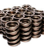 1.56 Dual Valve Spring Set