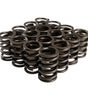 Outer Valve Spring With Damper- 1.440 Dia.
