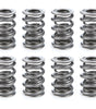 Valve Spring Set