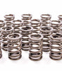Valve Springs - Single 1.320