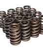 1.240 Valve Springs - Beehive
