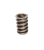 1.442 Dia. Dual Valve Springs- .71 ID.