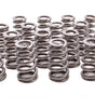 Conical Valve Springs 1.060/1.332