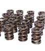 Dual Valve Springs 1.567 Dia. (.890 ID.)