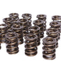 Dual Valve Springs 1.565 Dia. (.815 ID.)