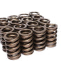 Hi-Tech 1.269 Dia. Outer Valve Springs- W/Damper