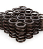 1.269 Dia HP Valve Spring Set