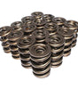 Hi-Tech Drag Race 1.66in Dia. Triple Valve Spring