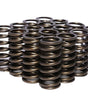 .970 Dia. Inner Valve Springs- .700 ID.