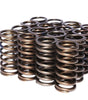 .937 Dia. Inner Valve Springs- .697 ID.