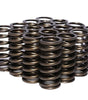 .953 Dia. Inner Valve Springs - .697 ID.