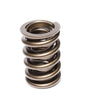 1.460 Dual Valve Spring