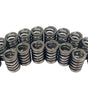 1.250in Valve Springs