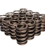 1.437in Dual Valve Spring Set