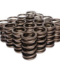 1.437 Dia. Dual Valve Springs- .700 ID.