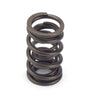 1.250 Valve Springs 8pk Dual