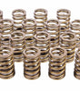 Valve Springs - 604 Crate Engine