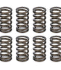 Valve Springs - 1.045