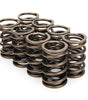 Valve Springs - Dual