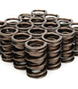 Valve Springs - Dual 1.500
