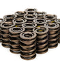 Valve Springs - 1.440