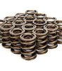 Valve Springs - Dual 1.405