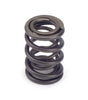 Valve Springs - Dual 1.400