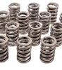 1.262 in Valve Springs - SBC